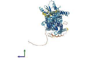 Protein Structure (PS) image for Anoctamin 9 (ANO9) (AA 1-782) protein (His tag) (ABIN7552094)