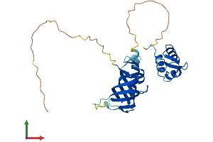 Protein Structure (PS) image for Replication Protein A2, 32kDa (RPA2) (AA 1-270) protein (His tag) (ABIN7555207)