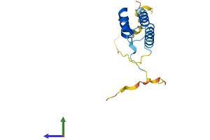 Protein Structure (PS) image for Protein Phosphatase 1, Regulatory (Inhibitor) Subunit 14D (PPP1R14D) (AA 1-146) protein (His tag) (ABIN7558306)