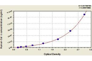 ELISA image for Collagen, Type I (COL1) ELISA Kit (ABIN6974281)