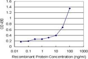 Sandwich ELISA detection sensitivity ranging from 3 ng/mL to 100 ng/mL. (AHSG (人) Matched Antibody Pair)
