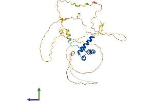 AlphaFold protein structure predicition of Human Recombinant HOXD9 Protein, UniprotID P28356