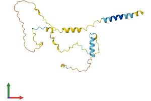 Protein Structure (PS) image for Linker For Activation of T Cells Family, Member 2 (LAT2) (AA 1-203) protein (His tag) (ABIN7561511)