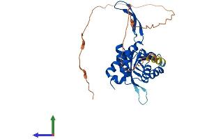 Protein Structure (PS) image for Uracil phosphoribosyltransferase (FUR1) Homolog (UPRT) (AA 1-309) protein (His tag) (ABIN7544971)