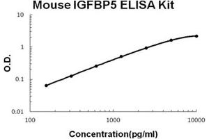 Mouse IGFBP5 PicoKine ELISA Kit standard curve (IGFBP5 ELISA 试剂盒)