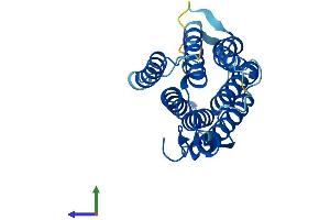 Protein Structure (PS) image for Steroid-5-alpha-Reductase, alpha Polypeptide 2 (3-Oxo-5 alpha-Steroid delta 4-Dehydrogenase alpha 2) (SRD5A2) (AA 1-254) protein (His tag) (ABIN7560439)