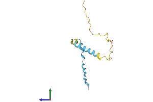 Protein Structure (PS) image for Death-Associated Protein-Like 1 (DAPL1) (AA 1-107) protein (His tag) (ABIN7561069)