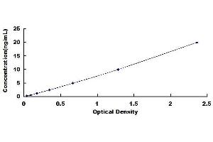 Typical standard curve (Perforin 1 ELISA 试剂盒)