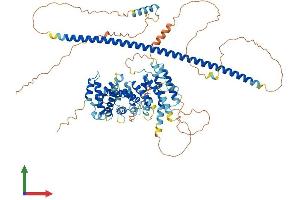 AlphaFold protein structure predicition of Mouse Recombinant Atrip Protein, UniprotID Q8BMG1