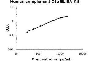 Human complement C5a PicoKine ELISA Kit standard curve