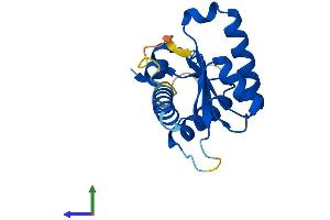 Protein Structure (PS) image for Growth Arrest and DNA-Damage-Inducible, gamma (GADD45G) (AA 1-159) protein (His tag) (ABIN7556369)