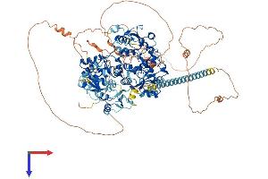 Protein Structure (PS) image for PAX Interacting (With Transcription-Activation Domain) Protein 1 (PAXIP1) (AA 1-1069) protein (His tag) (ABIN7554885)