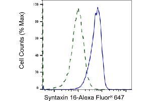 Validation of Syntaxin 16 knockdown using flow cytometry. (Recombinant Syntaxin 16 抗体)