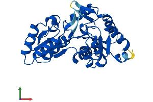 AlphaFold protein structure predicition of Mouse Recombinant Lhpp Protein, UniprotID Q9D7I5