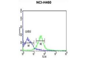 Flow Cytometry (FACS) image for anti-Protein Kinase A, alpha (PRKACA) antibody (ABIN3002818) (PRKACA 抗体)