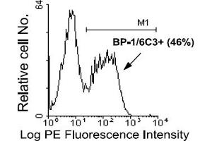 Flow Cytometry (FACS) image for anti-Glutamyl Aminopeptidase (Aminopeptidase A) (ENPEP) antibody (PE) (ABIN371044) (ENPEP 抗体  (PE))