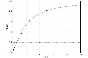 Centromere Protein F (CENPF) ELISA Kit