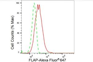 Flow cytometric analysis of FLAP expression in HeLa cells using FLAP antibody (ABIN7797639), 1:2,000). (Recombinant ALOX5AP 抗体)