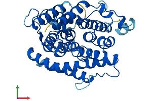 AlphaFold protein structure predicition of Mouse Recombinant Adprhl1 Protein, UniprotID Q8BGK2