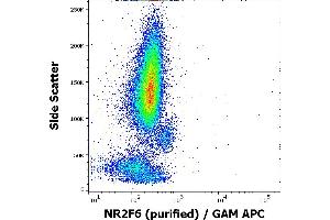 Flow cytometry intracellular staining pattern of human peripheral whole blood stained using anti-NR2F6 (EM-51) purified antibody (concentration in sample 3 μg/mL, GAM APC). (NR2F6 抗体)