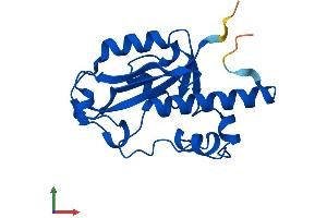 AlphaFold protein structure predicition of Human Recombinant ISG20 Protein, UniprotID Q96AZ6