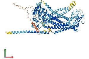 Protein Structure (PS) image for Anoctamin 5 (ANO5) (AA 1-904) protein (His tag) (ABIN7558160)