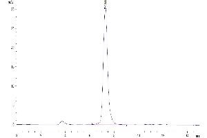 Size-exclusion chromatography-High Pressure Liquid Chromatography (SEC-HPLC) image for Natural Killer Cell Receptor 2B4 (CD244) (AA 22-221) protein (Fc Tag) (ABIN7273781)