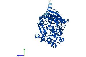 AlphaFold protein structure predicition of Mouse Recombinant Nceh1 Protein, UniprotID Q8BLF1