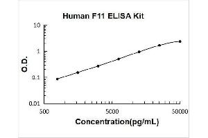 Coagulation Factor XI (F11) ELISA Kit
