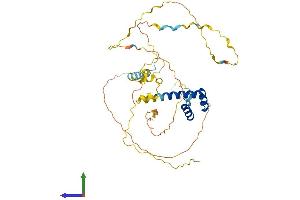 AlphaFold protein structure predicition of Human Recombinant BARHL2 Protein, UniprotID Q9NY43