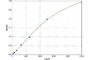 Ezrin (EZR) ELISA Kit