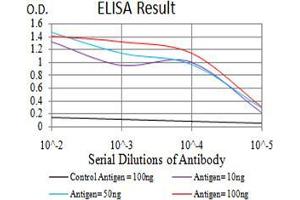 Black line: Control Antigen (100 ng),Purple line: Antigen (10 ng), Blue line: Antigen (50 ng), Red line:Antigen (100 ng) (TCF4 抗体  (AA 518-667))
