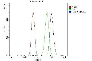 Flow Cytometry analysis of CACO-2 cells using anti-PCBP1 antibody (ABIN7600127).