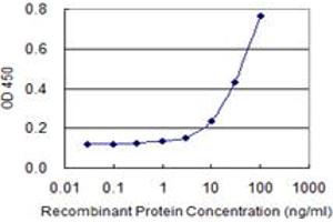 Detection limit for recombinant GST tagged MUSK is 3 ng/ml as a capture antibody. (MUSK 抗体  (AA 301-400))