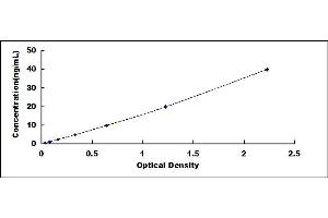 Typical standard curve (FGA ELISA 试剂盒)