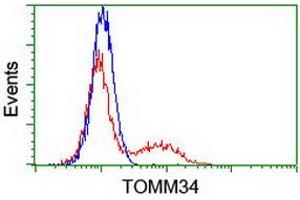 Image no. 1 for anti-Translocase of Outer Mitochondrial Membrane 34 (TOMM34) antibody (ABIN1501469) (TOMM34 抗体)