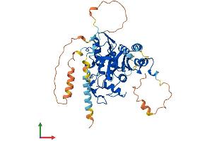 Protein Structure (PS) image for Autophagy related 4C Cysteine Peptidase (ATG4C) (AA 1-458) protein (His tag) (ABIN7564313)