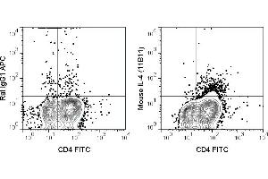 Mouse lymphoid cells were stimulated in the presence of a protein transport inhibitor. (IL-4 抗体  (APC))