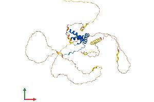 Protein Structure (PS) image for SRY (Sex Determining Region Y)-Box 17 (SOX17) (AA 1-414) protein (His tag) (ABIN7546198)