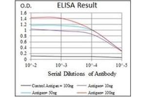 ELISA image for anti-Replication Protein A1, 70kDa (RPA1) antibody (ABIN1108896) (RPA1 抗体)