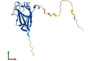 AlphaFold protein structure predicition of Human Recombinant TIFA Protein, UniprotID Q96CG3