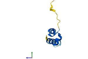 Protein Structure (PS) image for Cytochrome C Oxidase Assembly Factor 5 (COA5) (AA 1-74) protein (Fc Tag) (ABIN7546541)