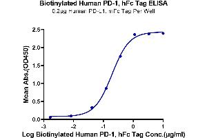 ELISA image for Programmed Cell Death 1 (PDCD1) (AA 25-167) protein (Fc-Avi Tag,Biotin) (ABIN7275422)