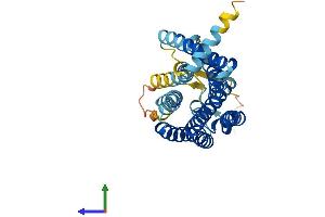 Protein Structure (PS) image for Olfactory Receptor, Family 13, Subfamily C, Member 8 (OR13C8) (AA 1-320) protein (His tag) (ABIN7549976)