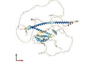 Protein Structure (PS) image for Pre-B-Cell Leukemia Homeobox Interacting Protein 1 (PBXIP1) (AA 1-727) protein (His tag) (ABIN7557094)