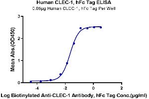 ELISA image for C-Type Lectin Domain Family 1, Member A (CLEC1A) (AA 74-280) protein (Fc Tag) (ABIN7274352)