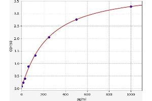 Amphiregulin (AREG) ELISA Kit