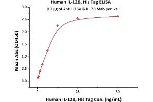 Immobilized Anti IL23A & IL12B MAb at 2 μg/mL (100 μL/well) can bind Human IL-12B, His Tag (ABIN2181334,ABIN3071755,ABIN6810016) with a linear range of 0. (IL12B Protein (AA 23-328) (His tag))