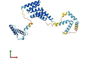 AlphaFold protein structure predicition of Human Recombinant SGTB Protein, UniprotID Q96EQ0