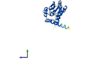 Protein Structure (PS) image for Cyclin-Dependent Kinase Inhibitor 3 (CDKN3) (AA 1-212) protein (His tag) (ABIN7553115)